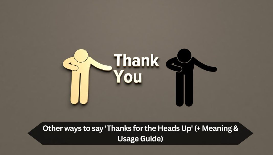 Other ways to say 'Thanks for the Heads Up' (+ Meaning & Usage Guide)